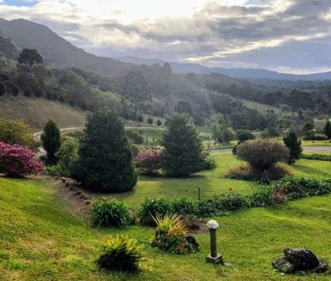 paisagem de natureza com arvores e luz do sol